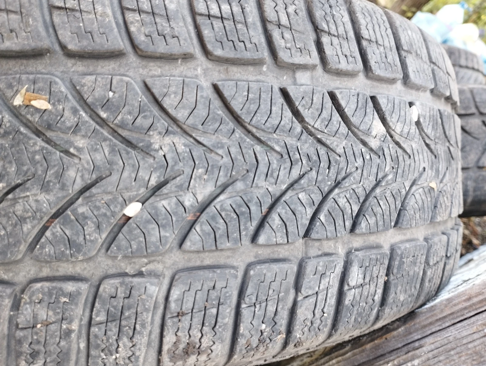���� � ������ 205/55R16 | Mobile.bg � ����������� 17