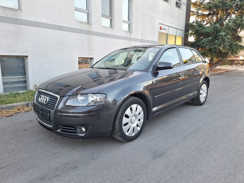 Audi A3 1.9tdi 105kc, снимка 1 - Автомобили и джипове - 48001836