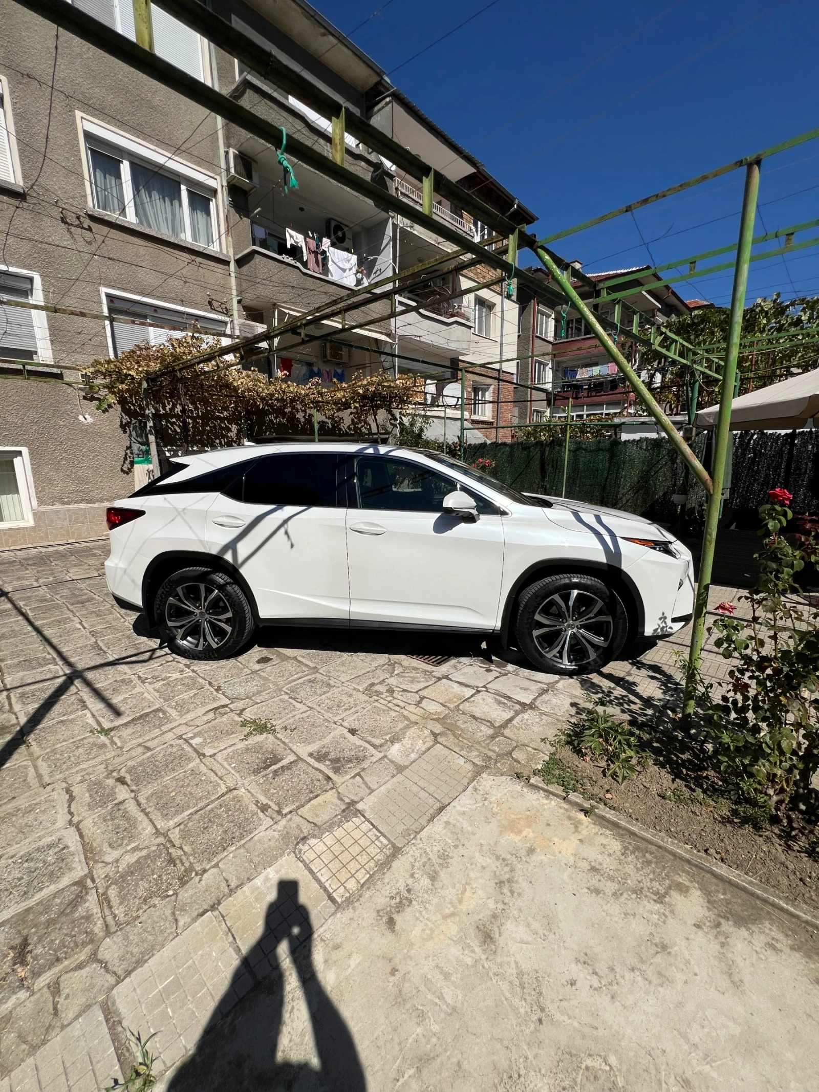 Lexus RX 350 RX 350 Executive  - изображение 10