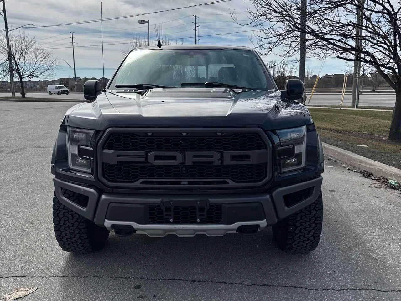 Ford F150  | Raptor | 360 | PANO | ОБДУХВАНЕ , снимка 2 - Автомобили и джипове - 54467518