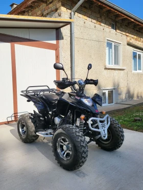 Shineray XY  250  1700!     () | Mobile.bg    3