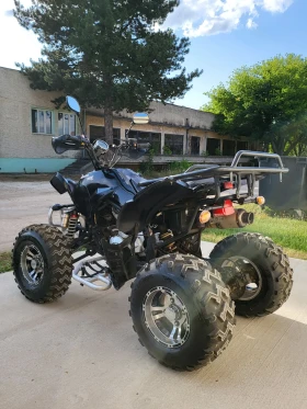 Shineray XY  250  1700!     () | Mobile.bg    6