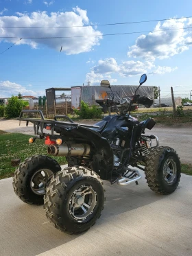 Shineray XY  250  1700!     () | Mobile.bg    5