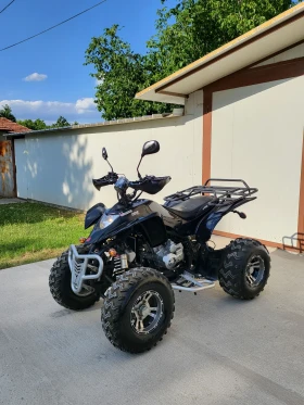 Shineray XY  250  1700!     () | Mobile.bg    8