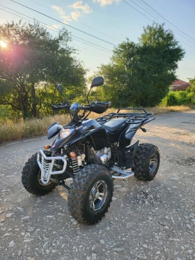 Shineray XY  250  1700!     () | Mobile.bg    12