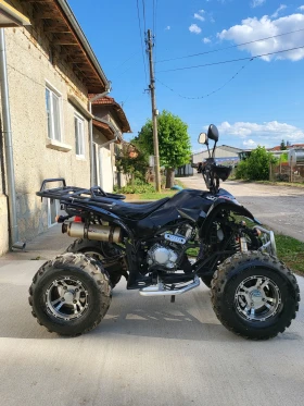 Shineray XY  250  1700!     () | Mobile.bg    4