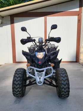 Shineray XY  250  1700!     () | Mobile.bg    2