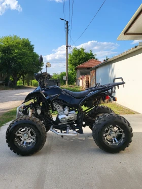 Shineray XY  250  1700!     () | Mobile.bg    7
