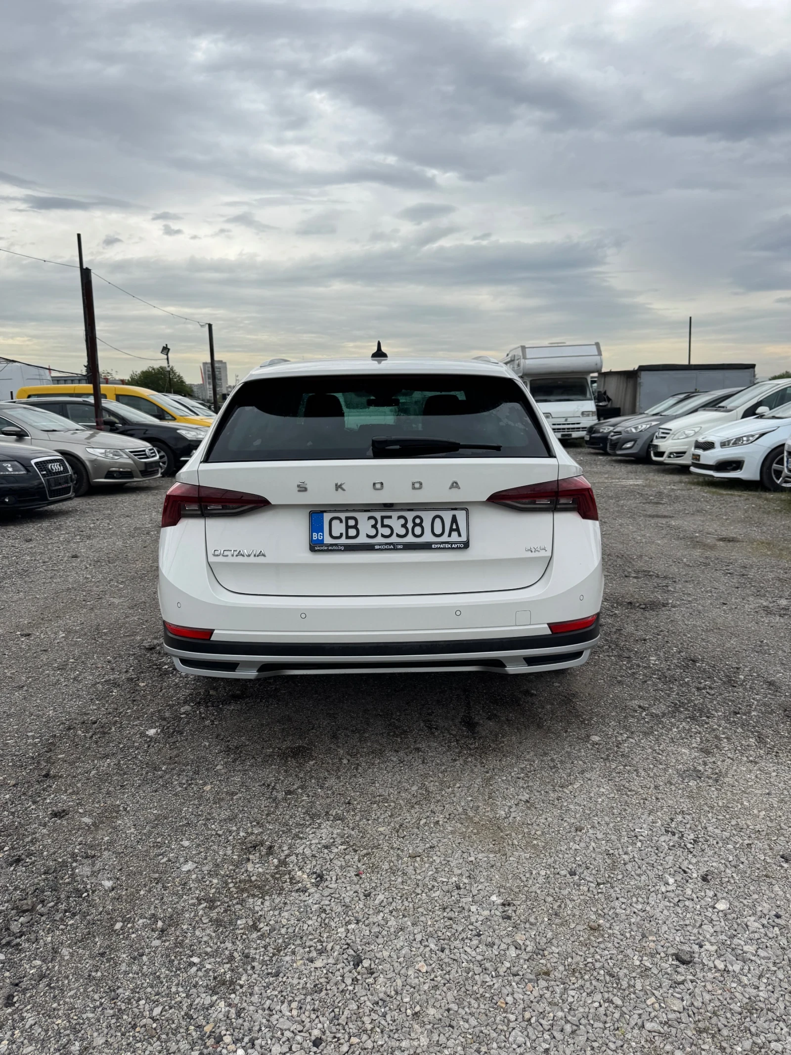Skoda Octavia SCOUT 2.0TDI/DSG 4✖4 FULL, снимка 3 - Автомобили и джипове - 54401970