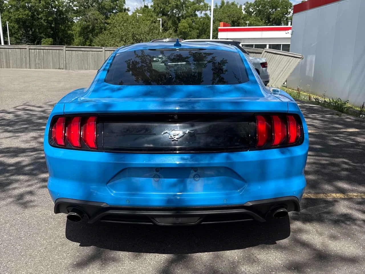 Ford Mustang EcoBoost | АВТОКРЕДИТ БЕЗ ПЪРВОНАЧАЛНА ВНОСКА | , снимка 4 - Автомобили и джипове - 55432625