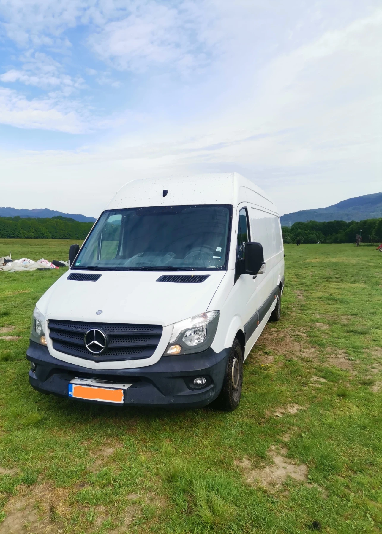 Mercedes-Benz 316  - изображение 2