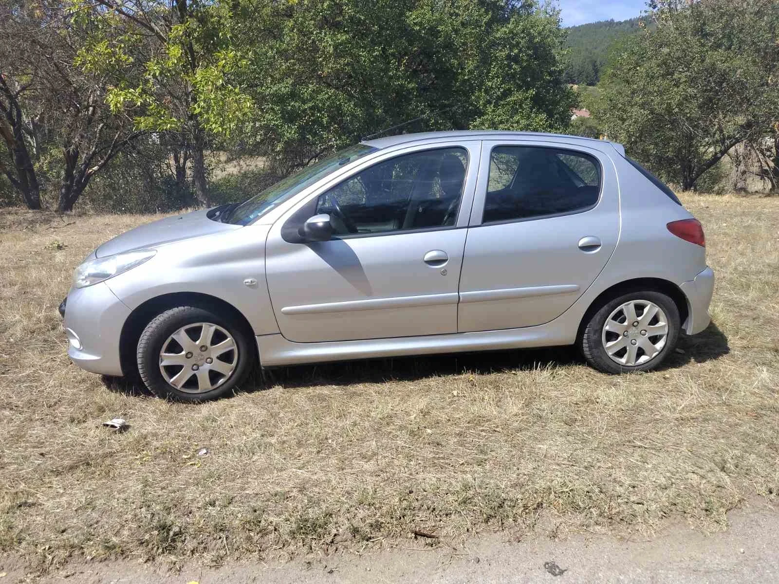 Peugeot 206  - изображение 2