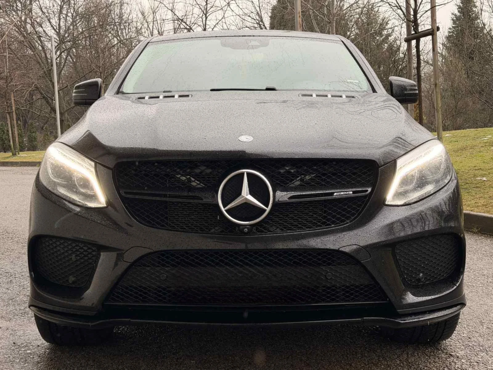 Mercedes-Benz GLE 43 AMG  - изображение 2