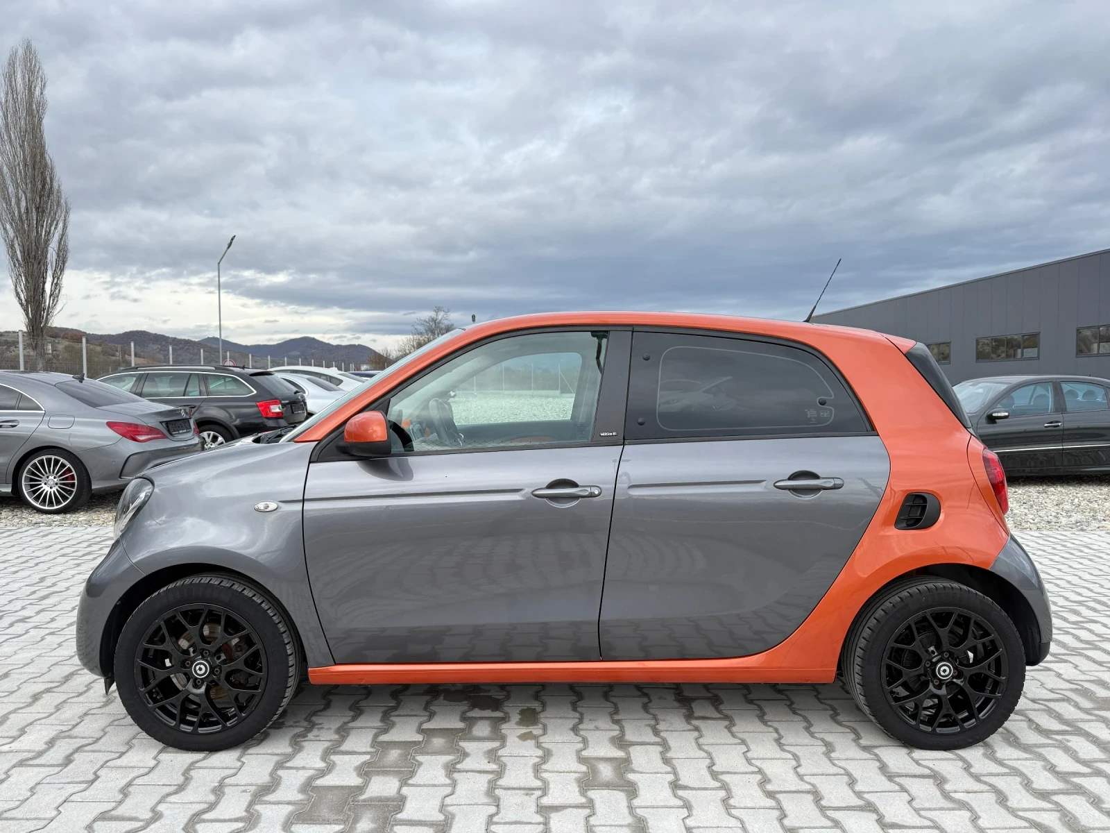 Smart Forfour EDITION#1 PANORAMA - изображение 3