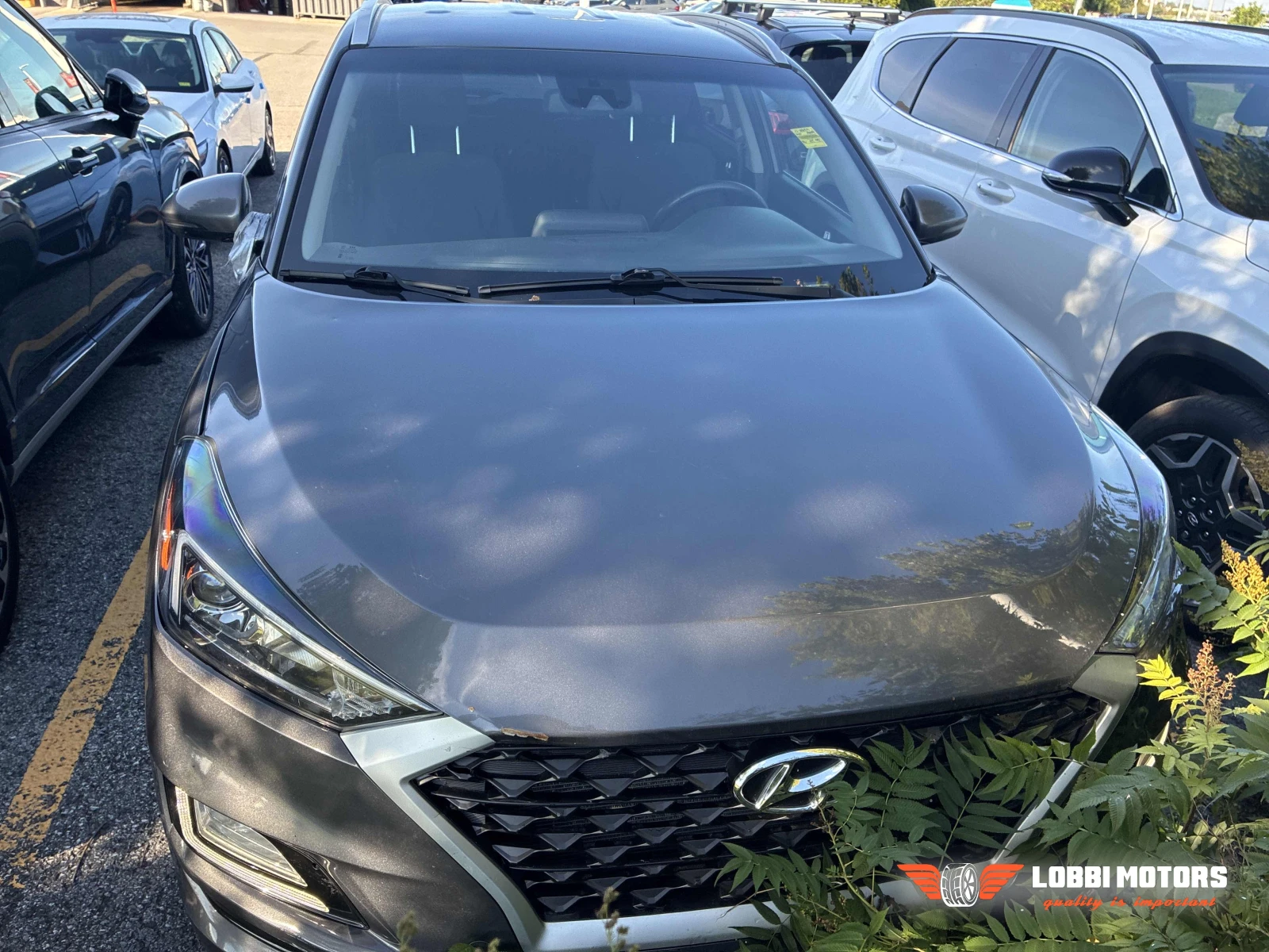 Hyundai Tucson, снимка 6 - Автомобили и джипове - 56033585