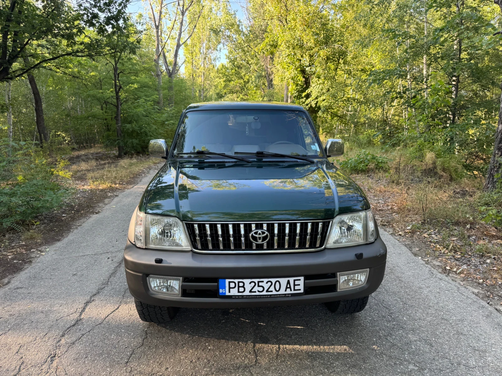 Toyota Land cruiser 90 3.4 V6 - изображение 7