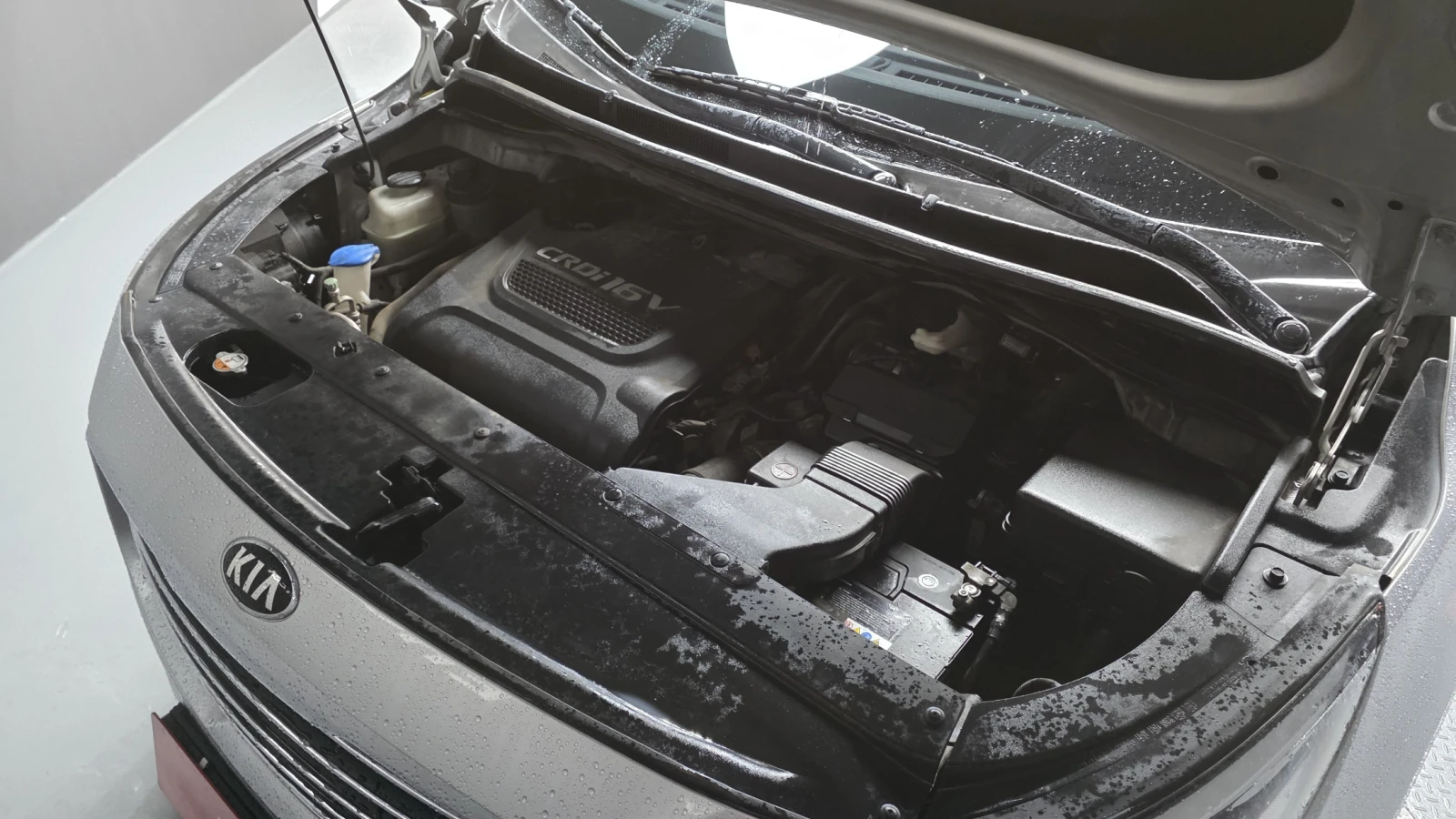 Kia Carnival ������ ����* encareu.com | Mobile.bg � ����������� 6