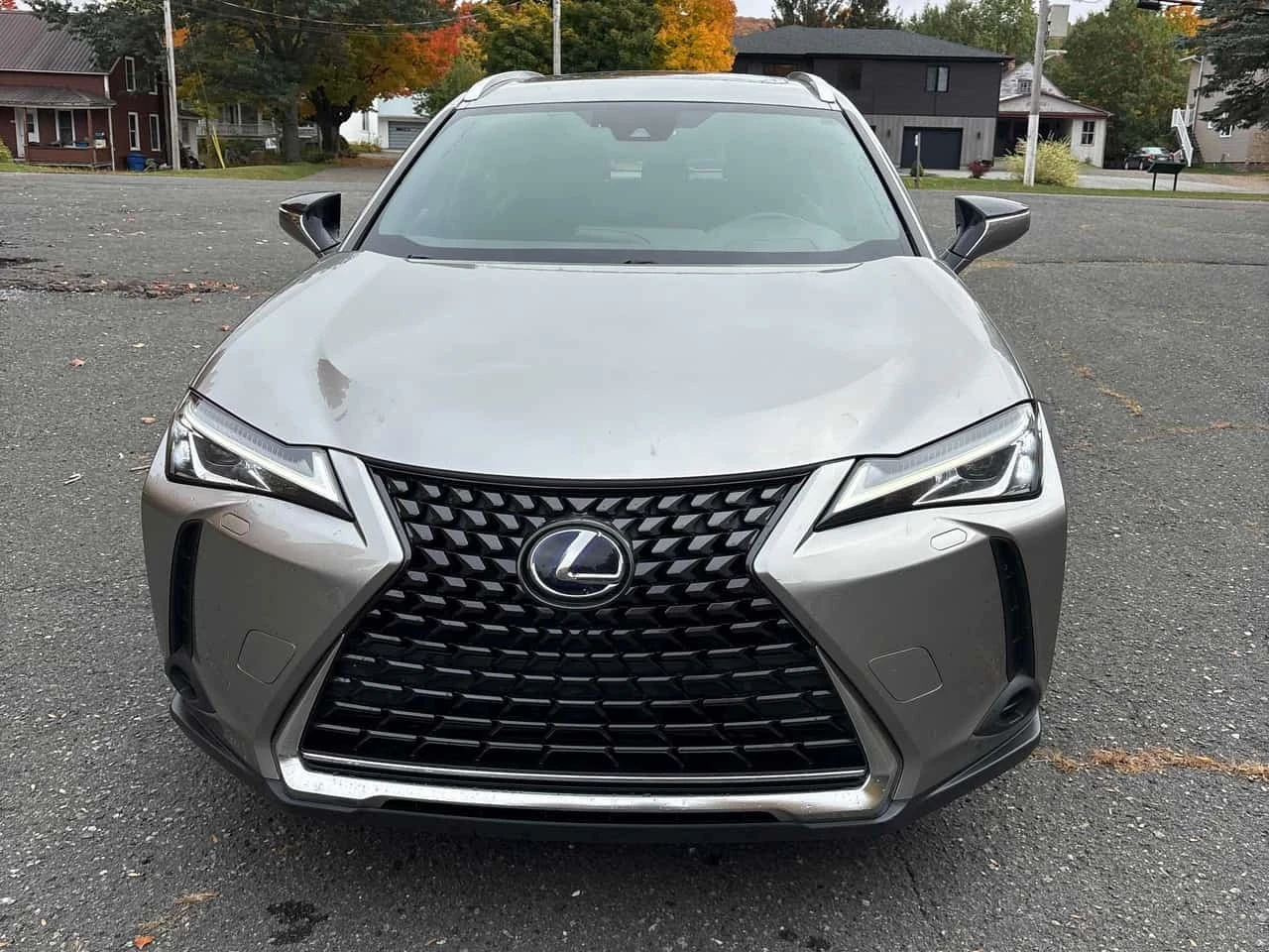 Lexus UX 250h  HUD / DISTRONIC / 2 КЛЮЧА, снимка 5 - Автомобили и джипове - 56294548