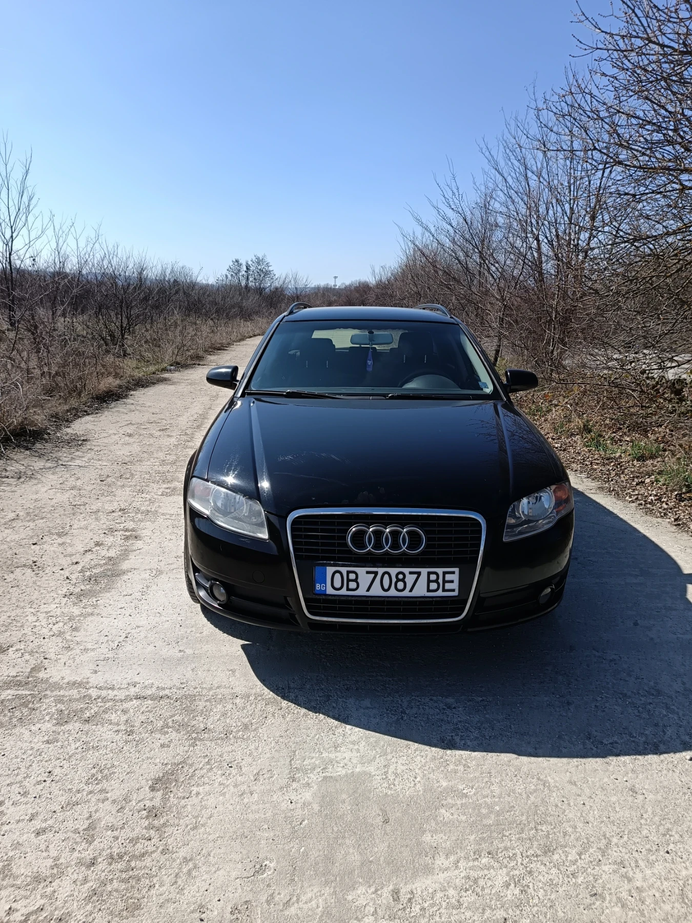 Audi A4 2.0TDI, снимка 3 - Автомобили и джипове - 53855207
