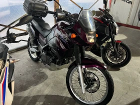  Kawasaki Kle
