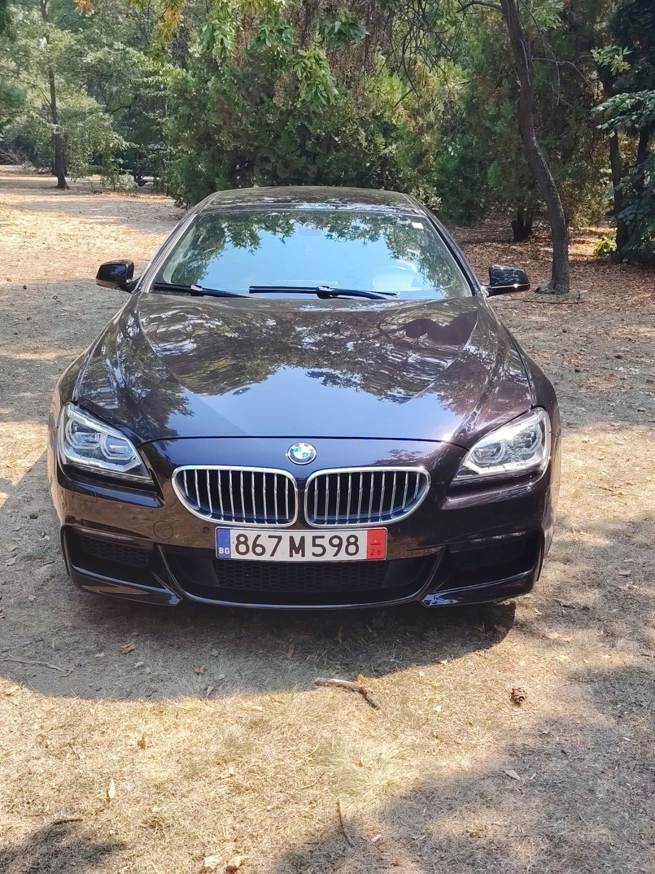 BMW 650