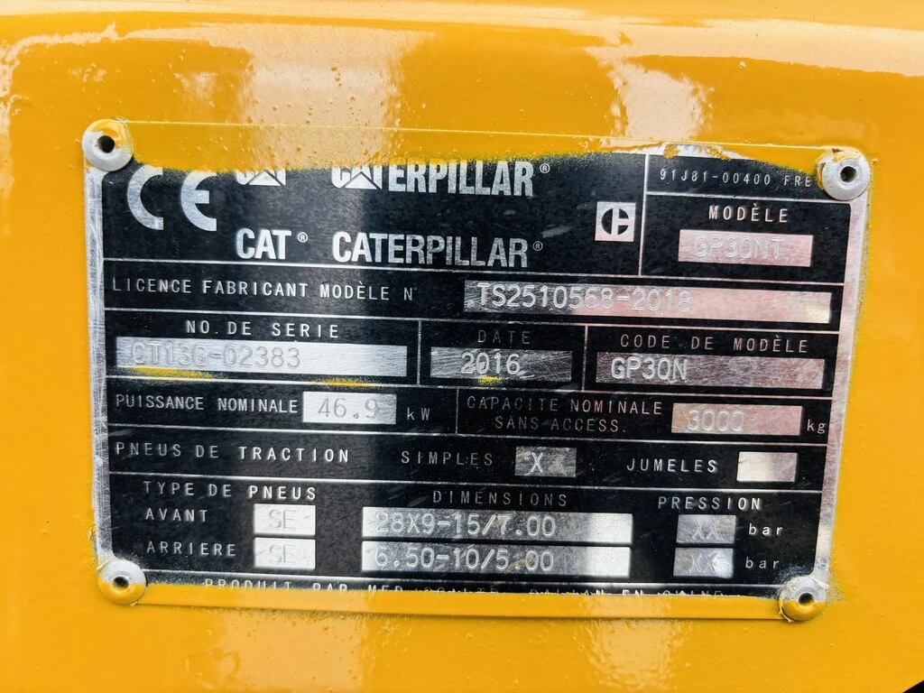  Cat  ,  | Mobile.bg   12