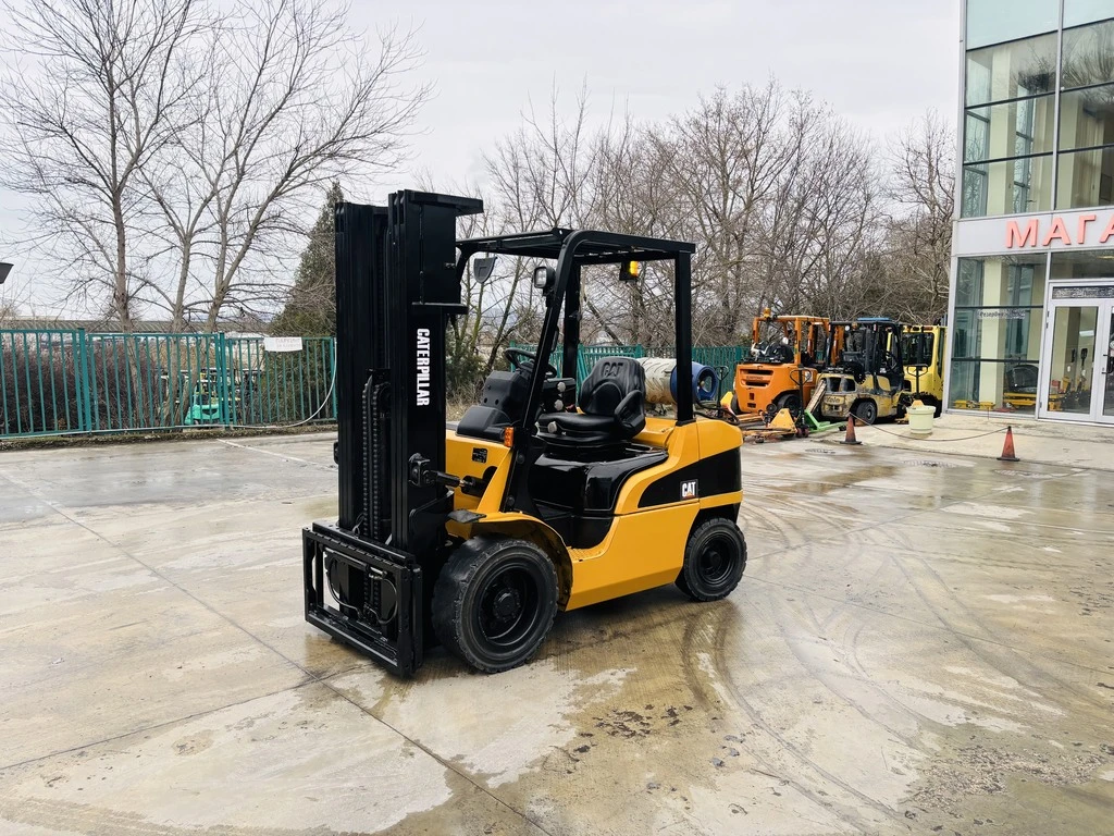  Cat  ,  | Mobile.bg   1