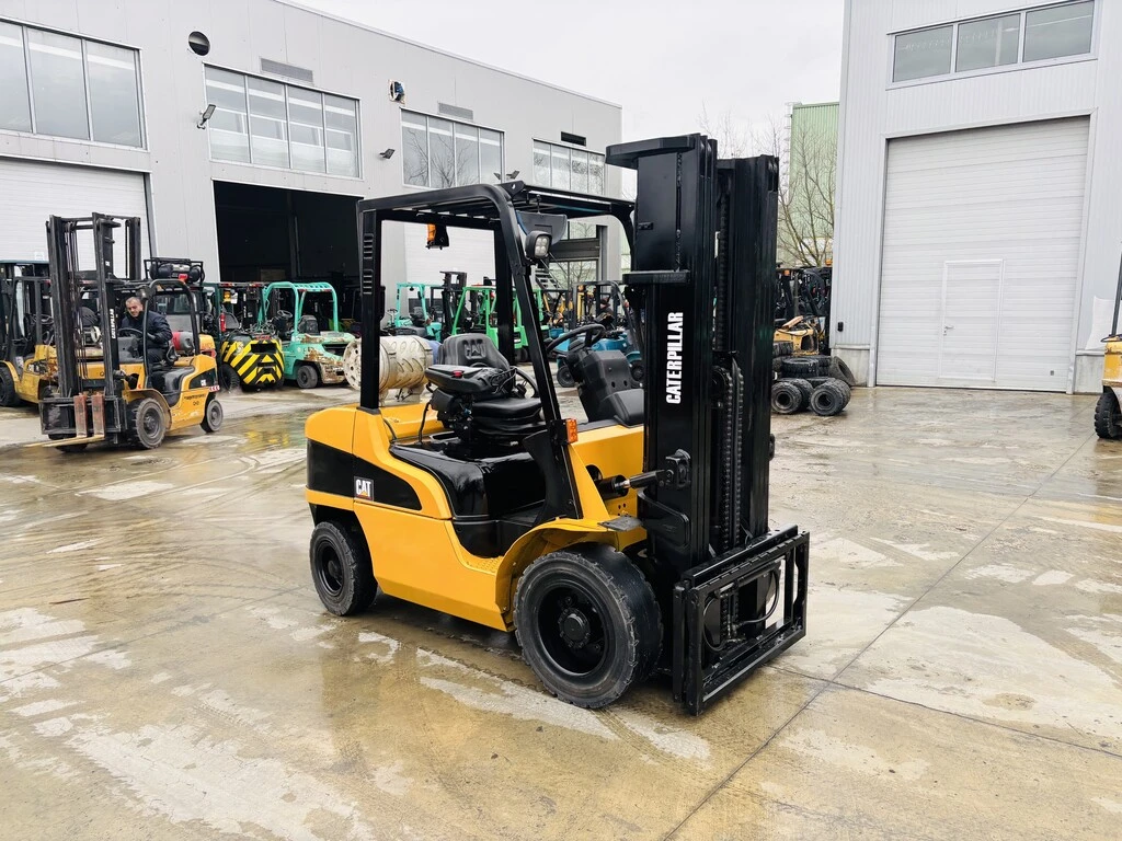  Cat  ,  | Mobile.bg   6