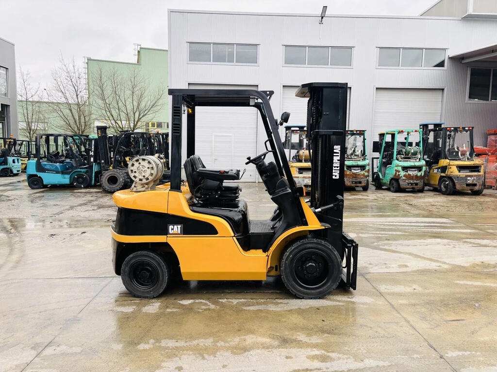  Cat  ,  | Mobile.bg   5