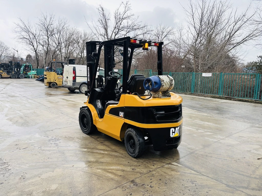  Cat  ,  | Mobile.bg   3