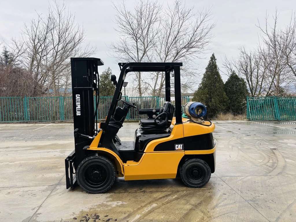  Cat  ,  | Mobile.bg   2