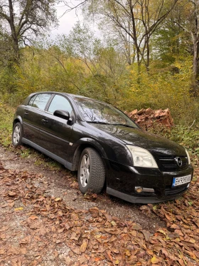 Opel Signum, снимка 8