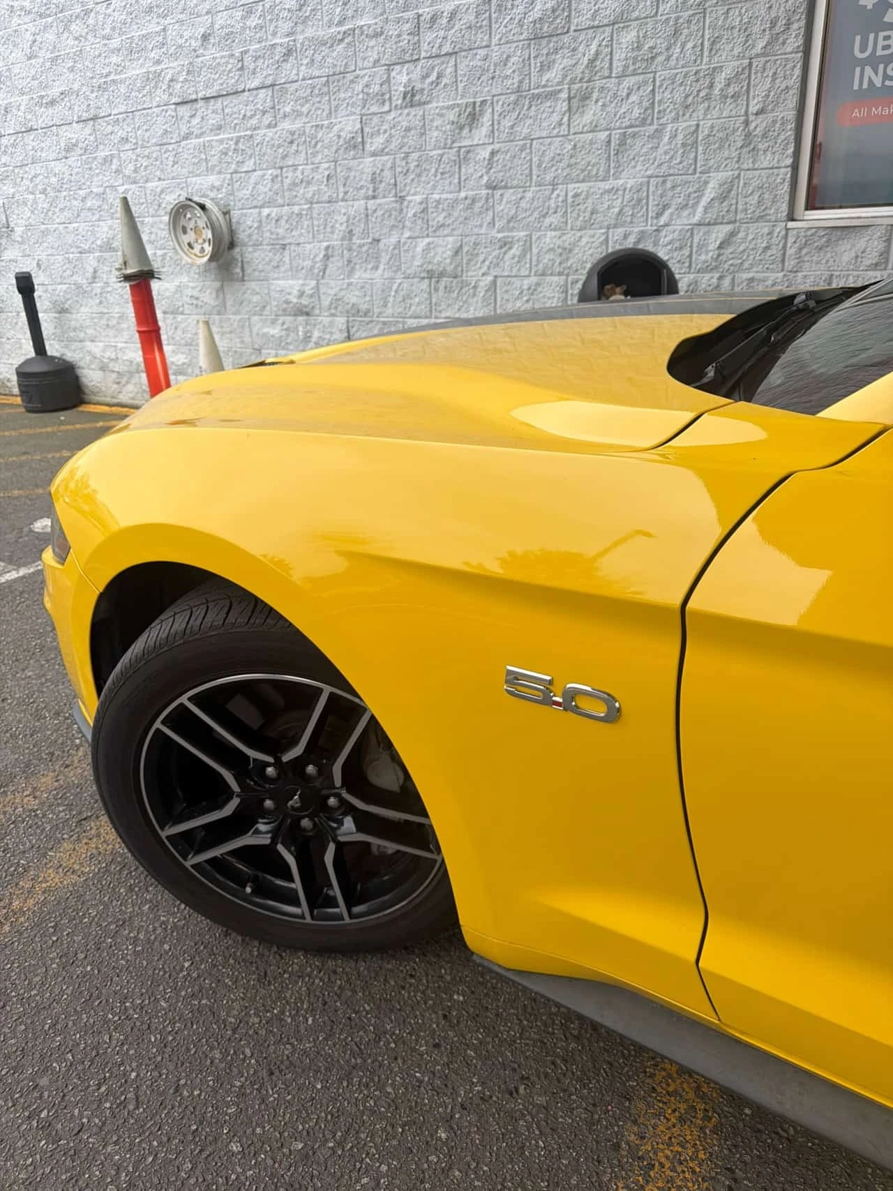Ford Mustang * GT * CARFAX * ���������������� *  | Mobile.bg � ����������� 12