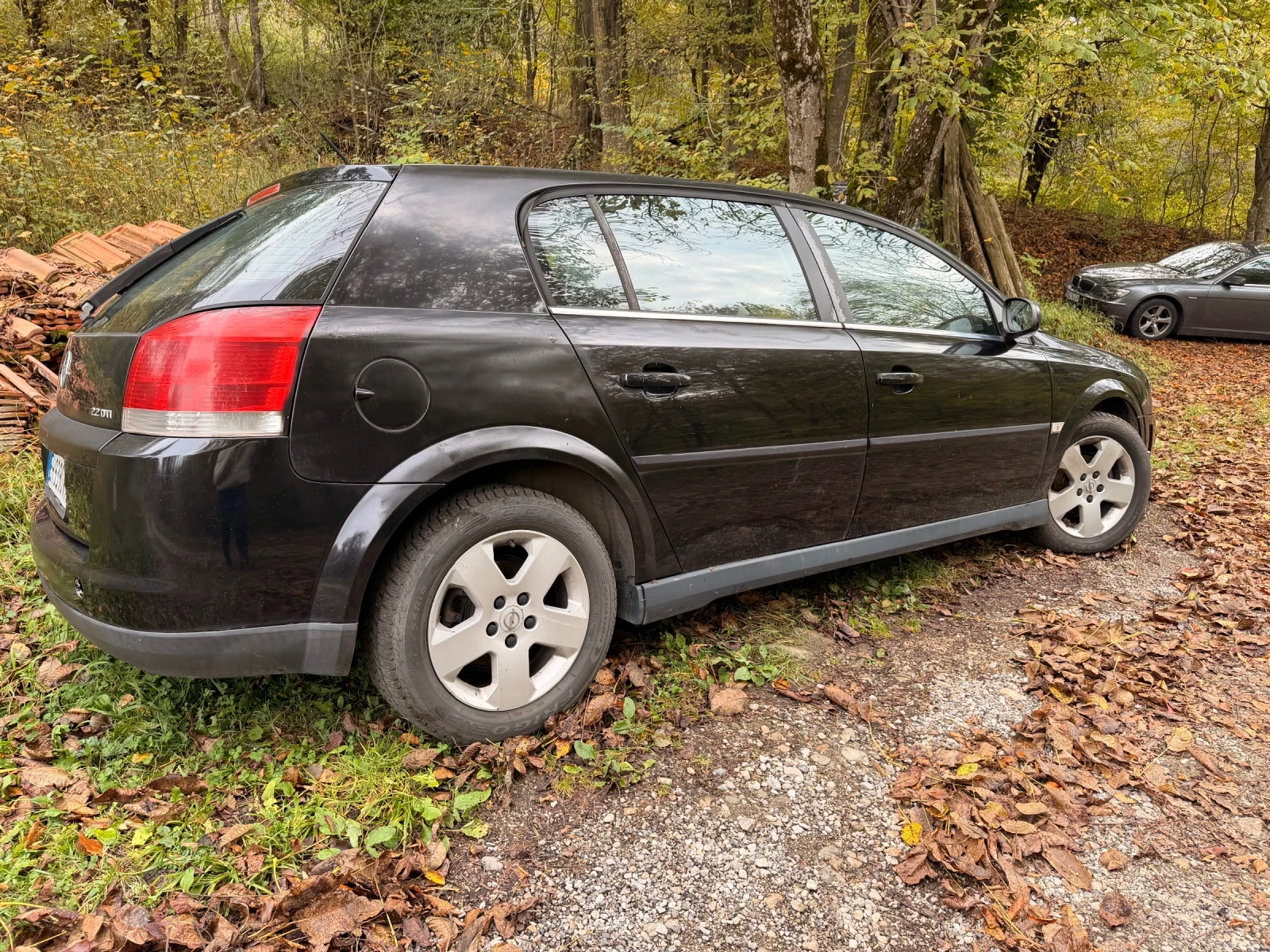Opel Signum, снимка 5 - Автомобили и джипове - 56563471