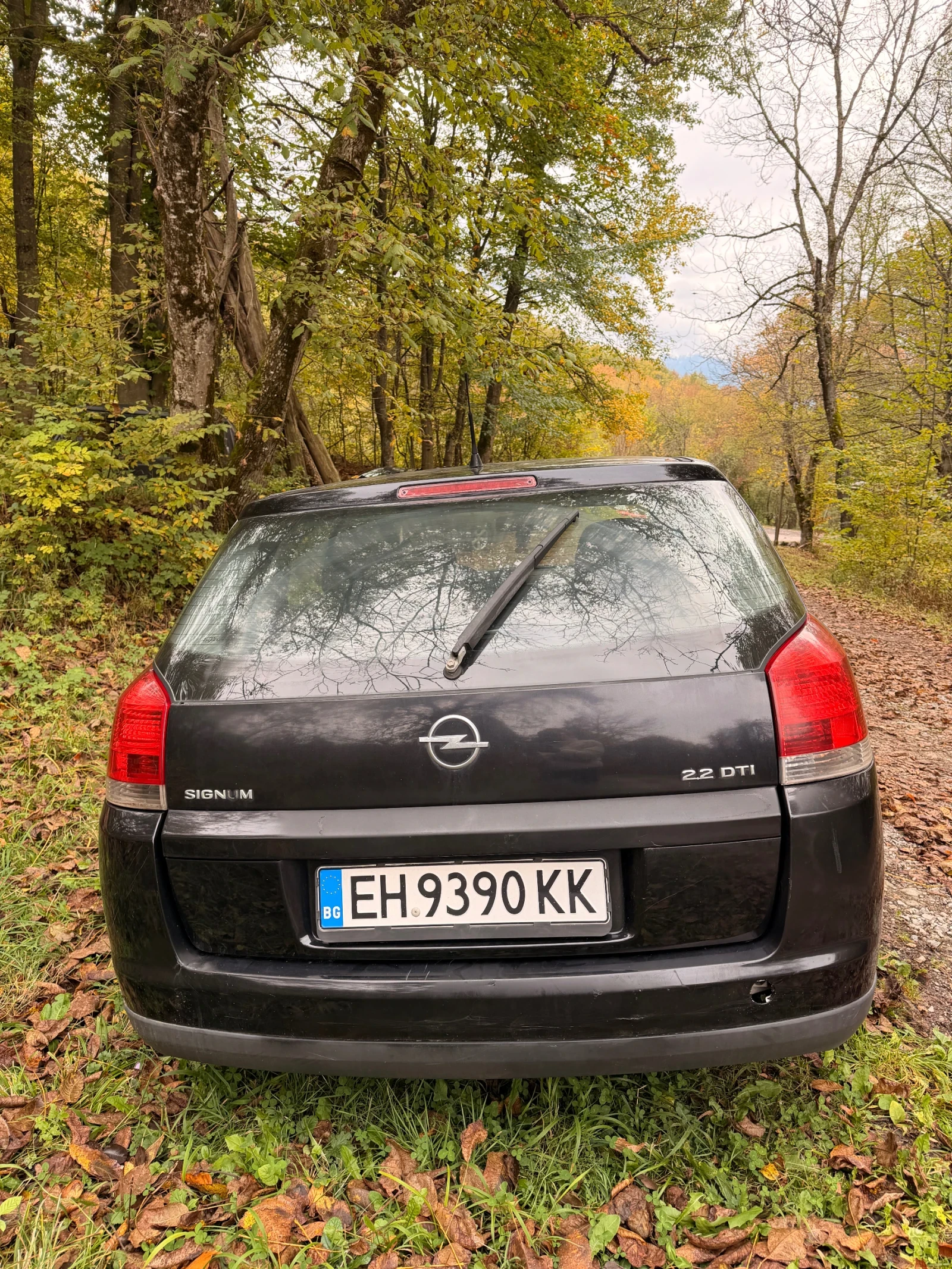 Opel Signum, снимка 4 - Автомобили и джипове - 56563471