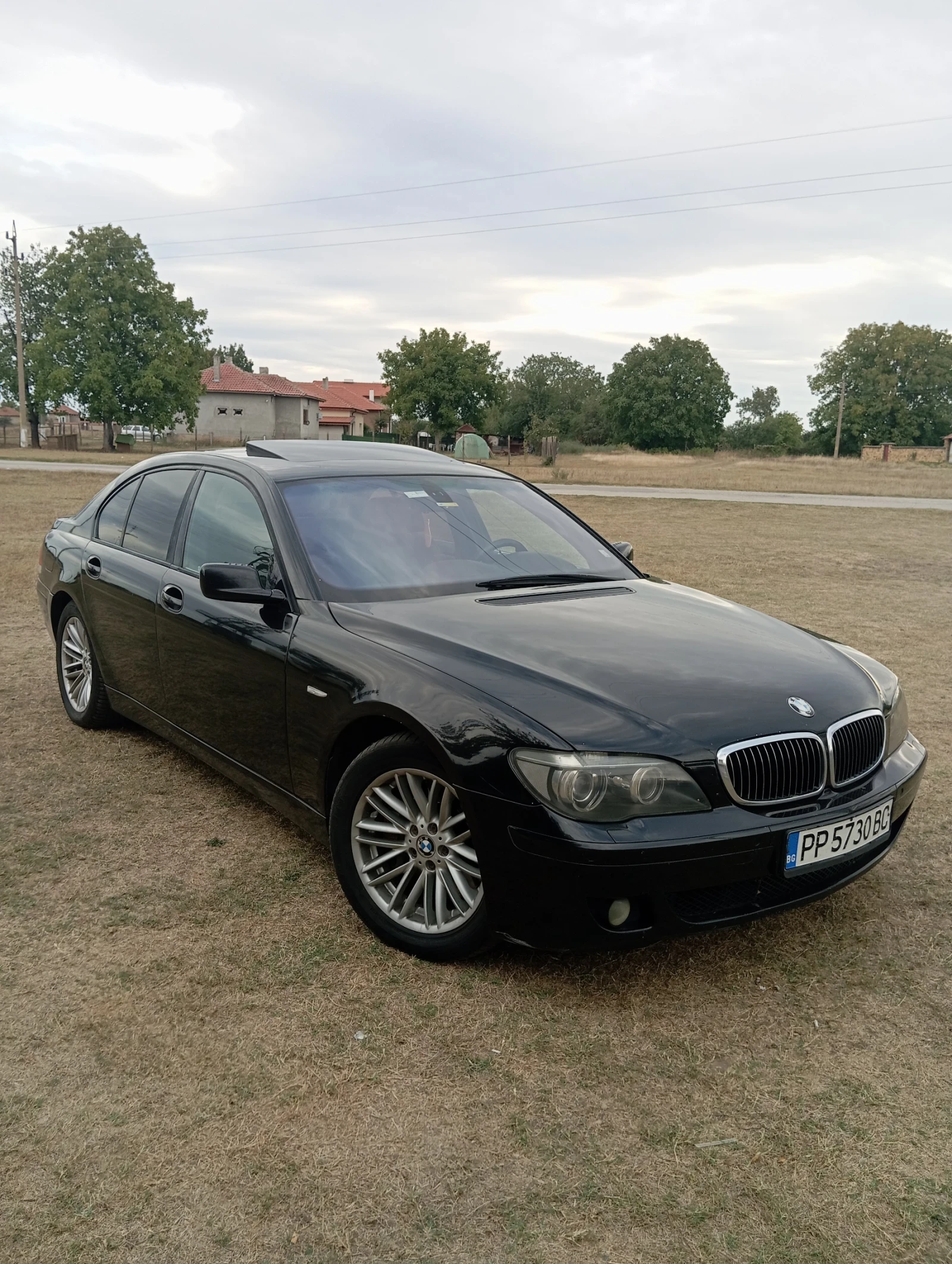 BMW 745 745d - изображение 4