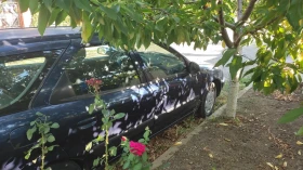 Citroen Xsara  | Mobile.bg    2