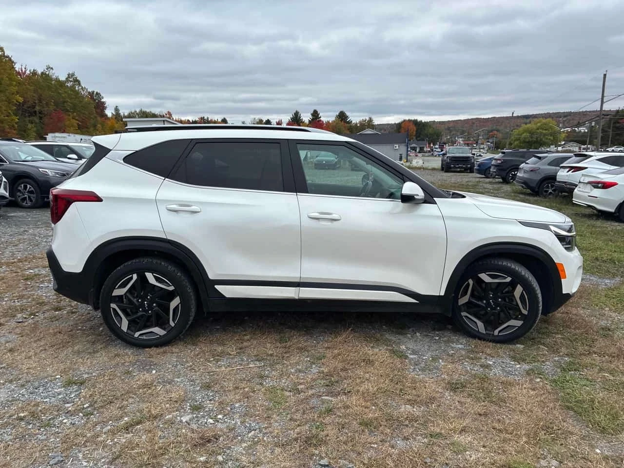 Kia Seltos * SX AWD w/Brown Interior * CARFAX * ����� �� ���� | Mobile.bg � ����������� 3