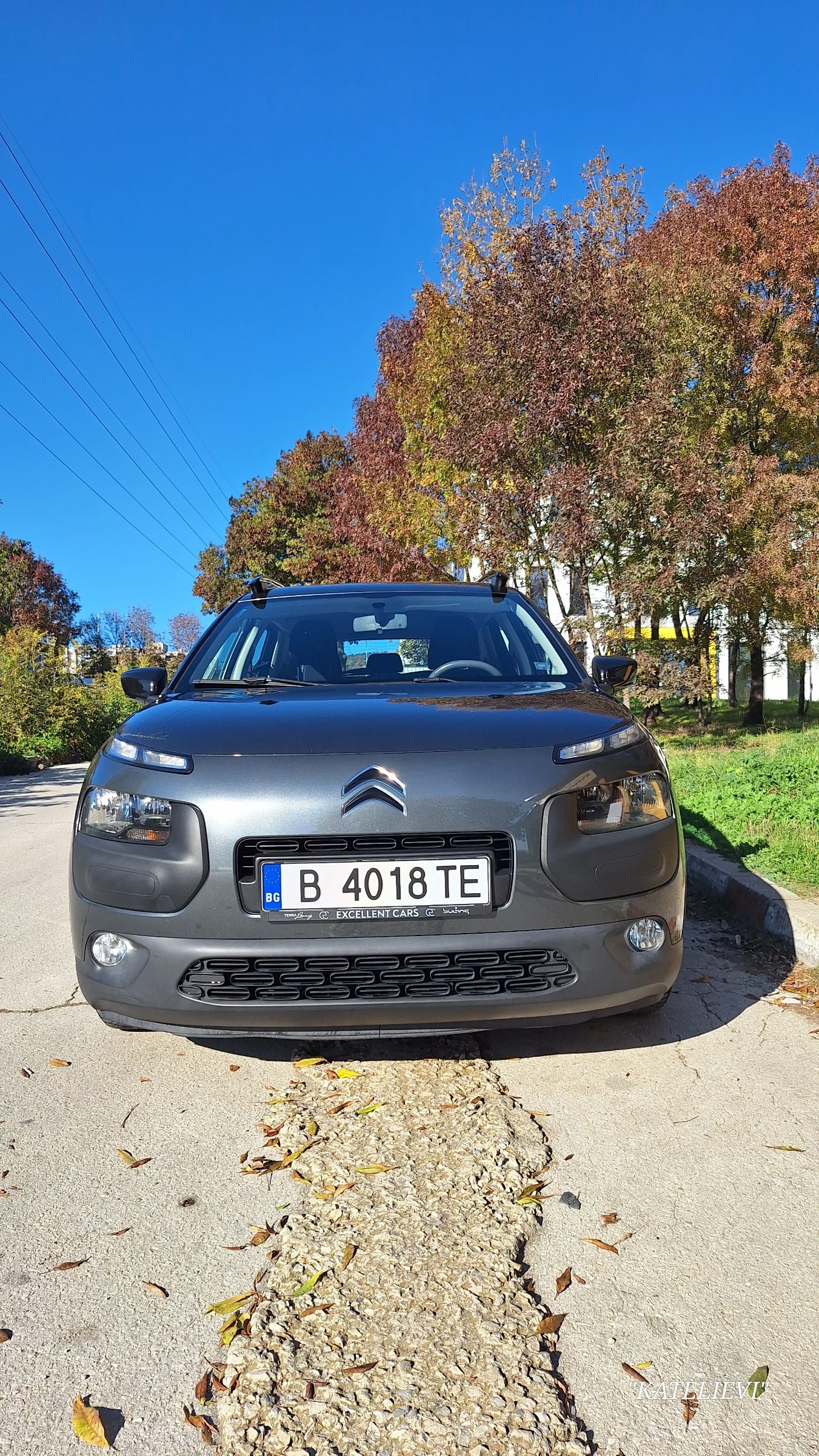 Citroen C4 Cactus  - изображение 2