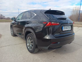 Lexus NX 300h - 20000 € / 39116.60 лв. - 17052619 14