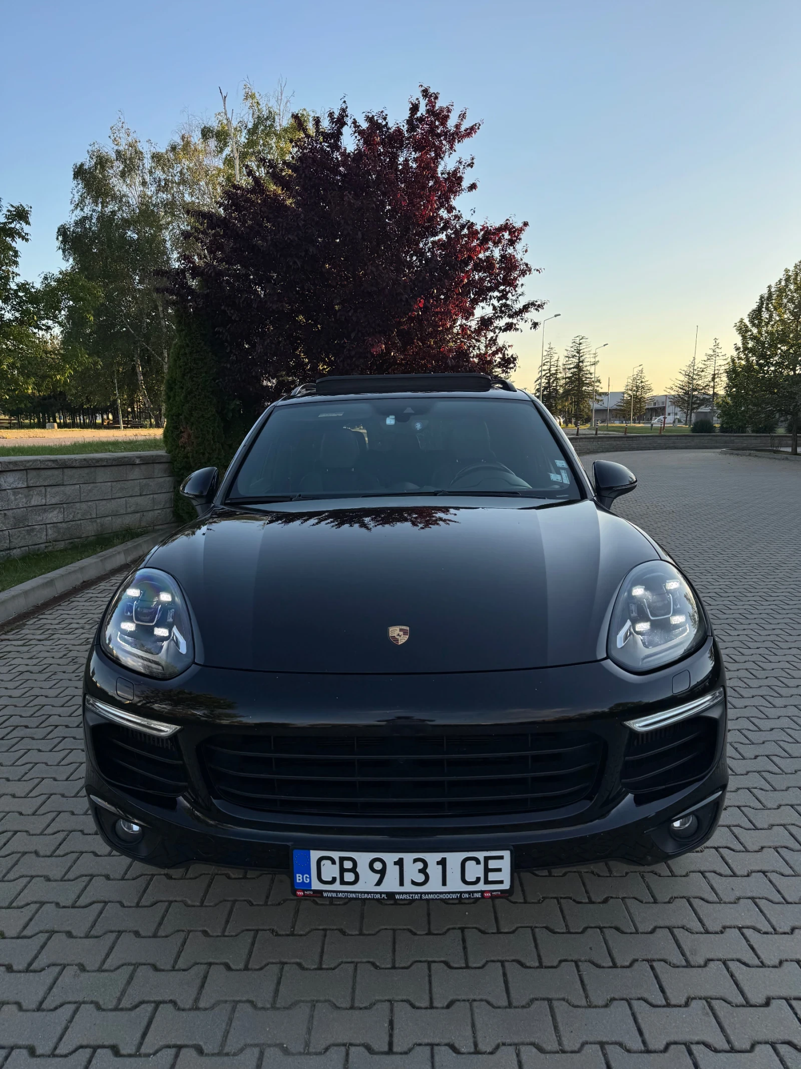 Porsche Cayenne 3.0 Platinum Edition, снимка 2 - Автомобили и джипове - 54618244