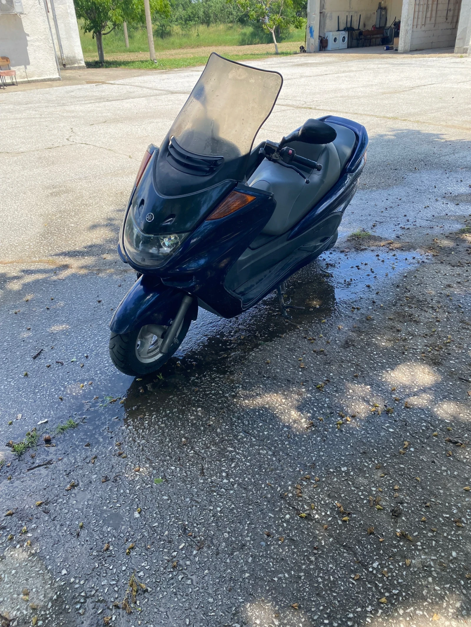 Yamaha Majesty 250 - изображение 2