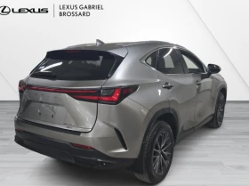 Lexus NX 350h 2023 Lexus NX 350h SIGNATURE, снимка 6