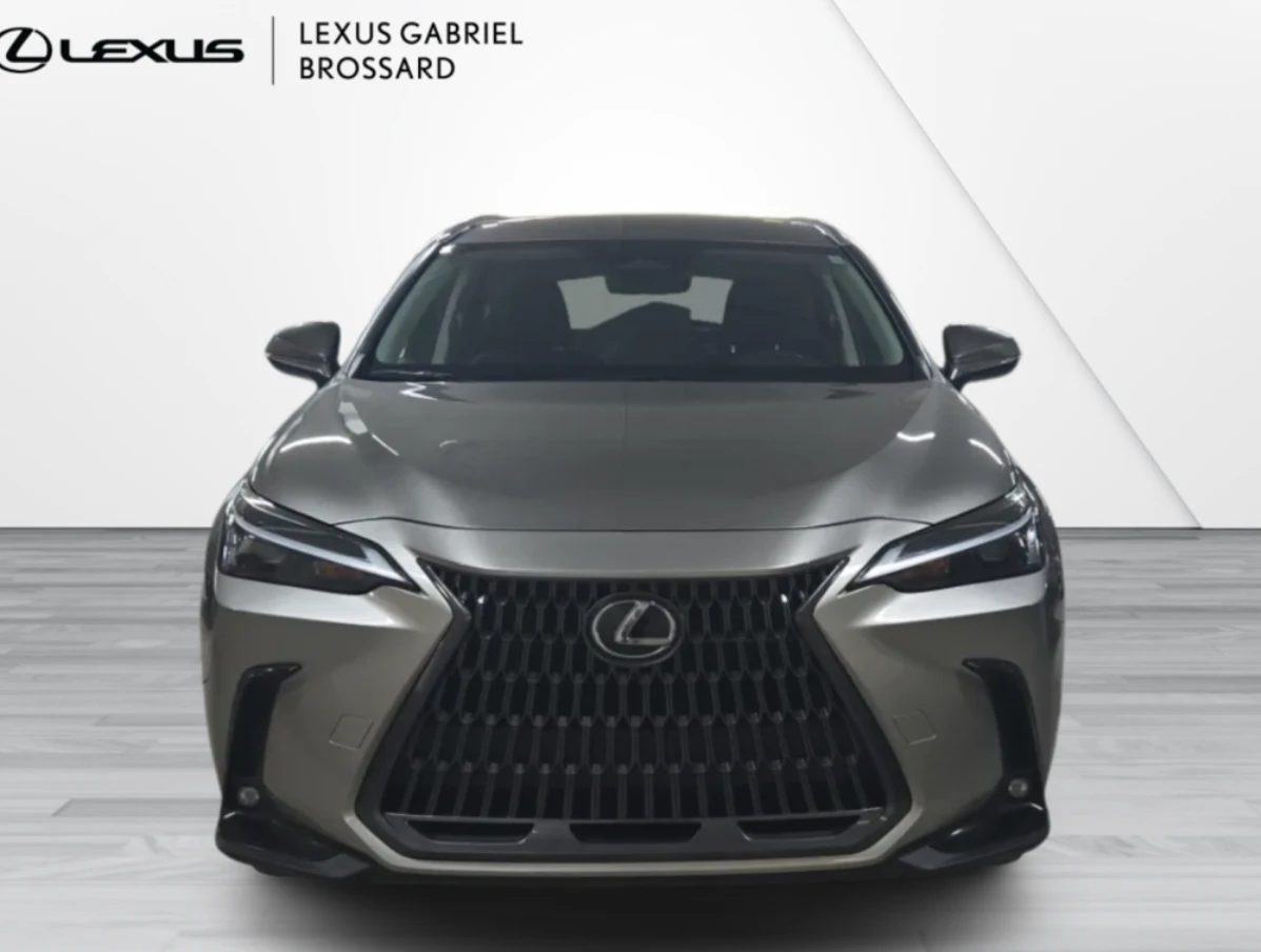 Lexus NX 350h 2023 Lexus NX 350h SIGNATURE - изображение 2