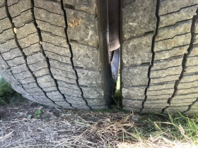 Volvo Fl EEV | Auto.bg — изображение 6