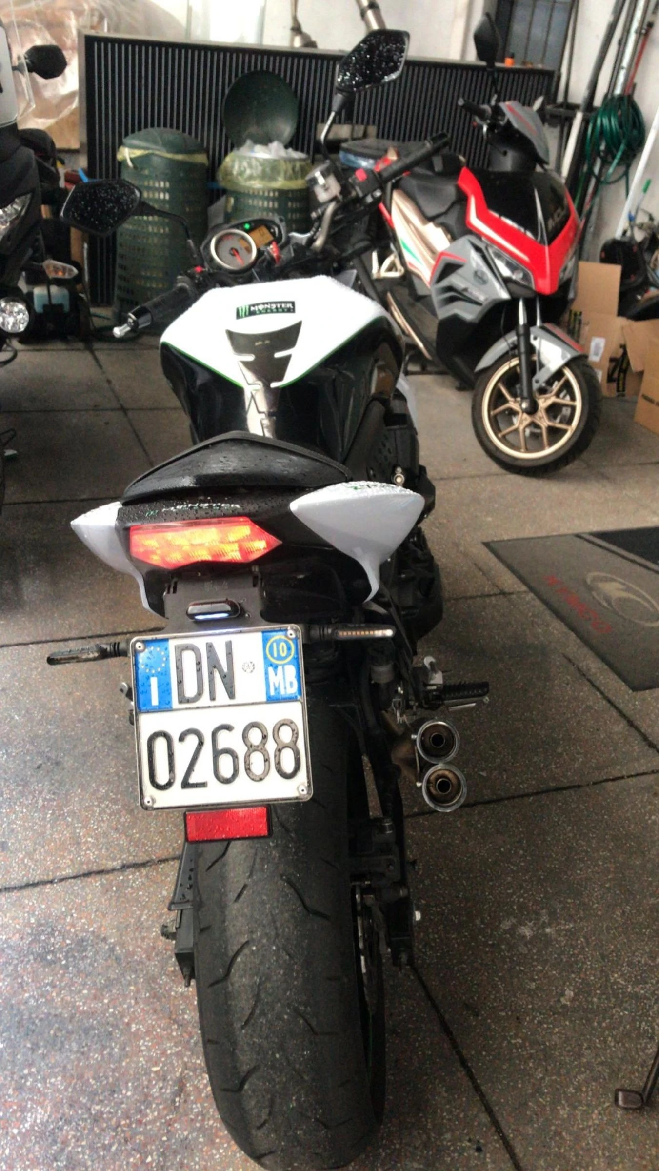 Kawasaki Z  - изображение 3