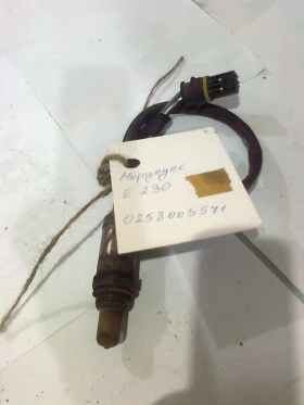 ������ ������� ������� ����...