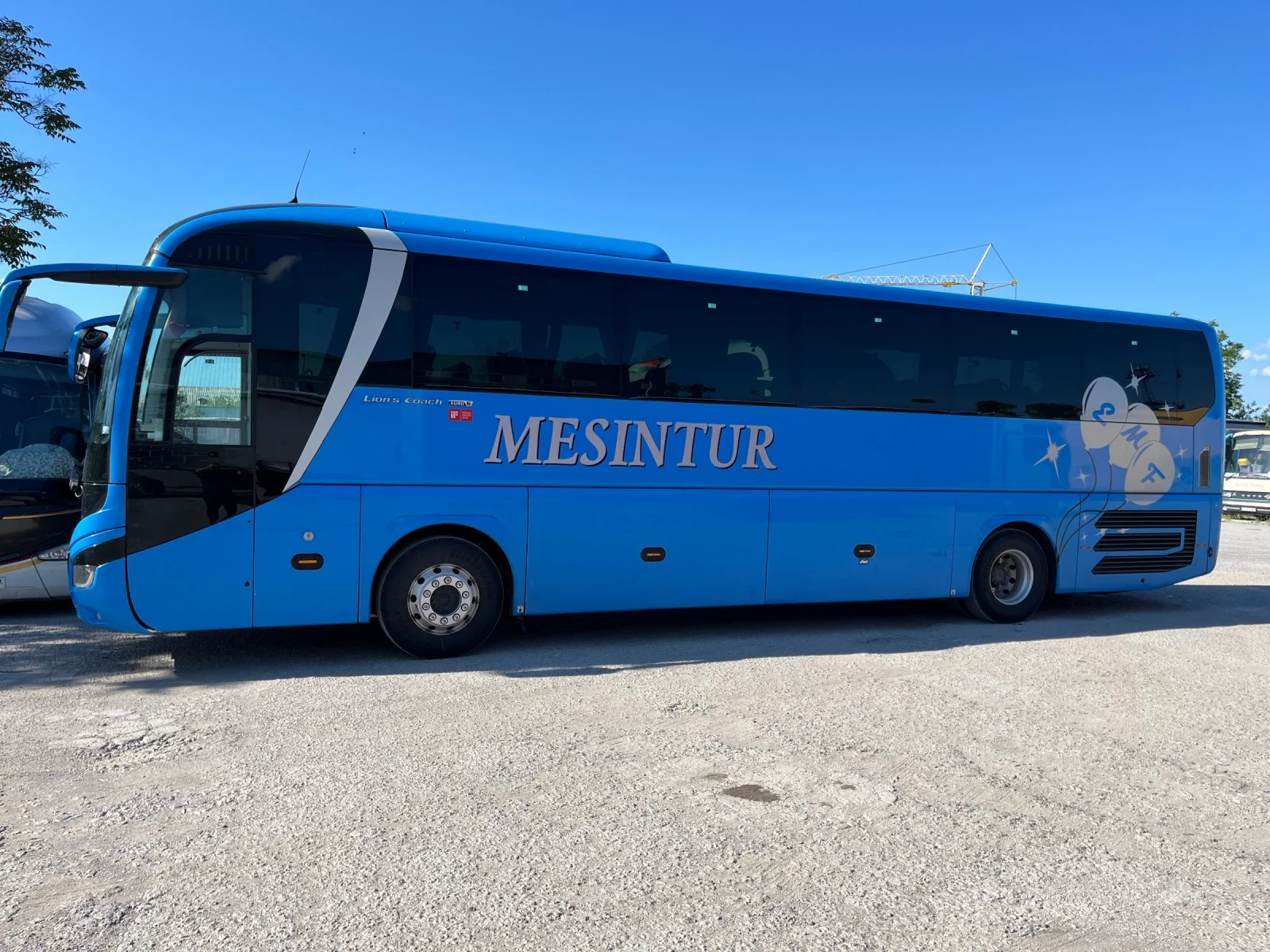 Man Nl202 Lion s choach