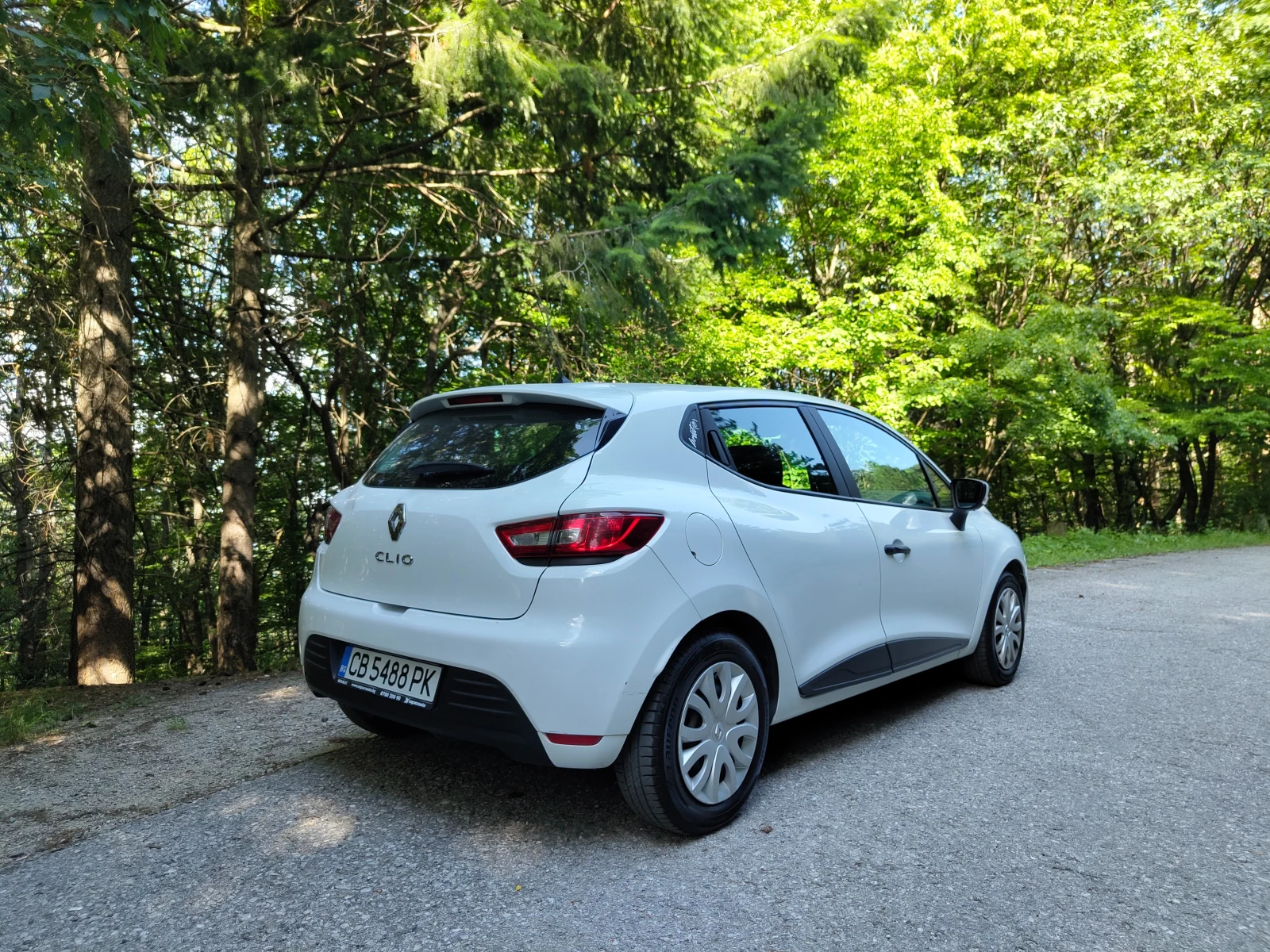 Renault Clio N1, снимка 14 - Автомобили и джипове - 55014318