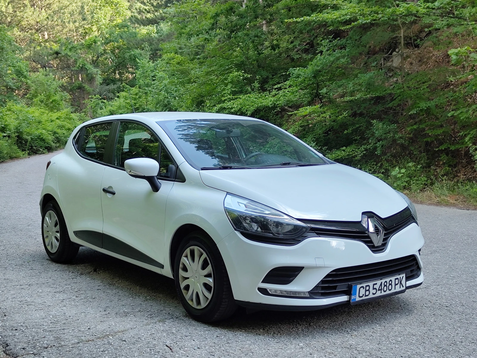 Renault Clio N1